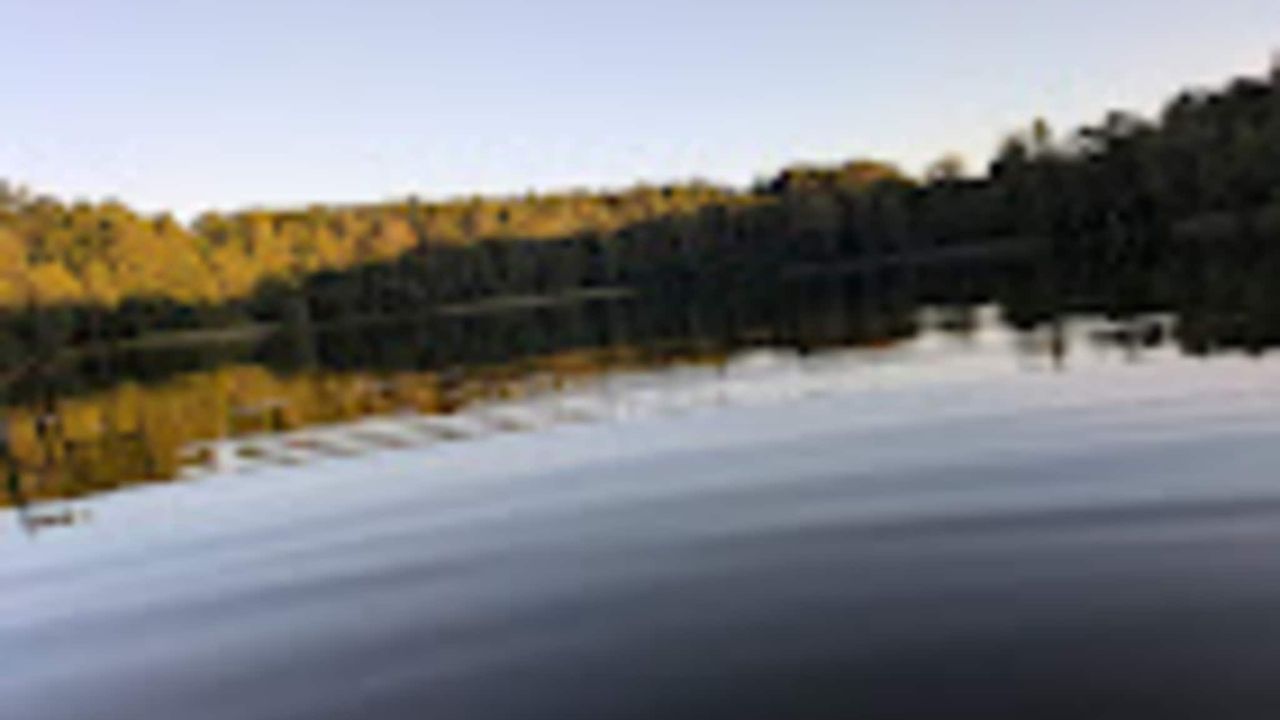 AreaSummer5KM AreaSummer5KM